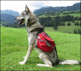 PALISADES Packtasche von RUFFWEAR