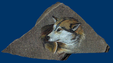 "Shorty", sib. Husky