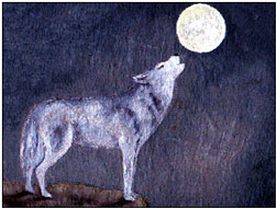 Heulender Timberwolf im Mondschein