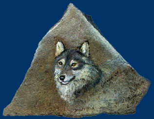 "Cheego", sib. Husky