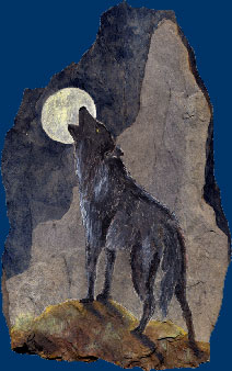 Heulender Timberwolf mit Fels