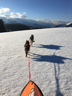 PIUM Sprintschlitten auf Touren