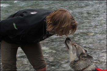 Teambesprechung_Rolim mit Balto