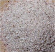 ind. Flohsamenschalenpulver/Psyllium