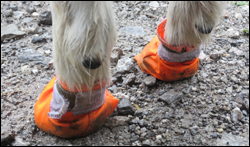 cordura 500 Booties