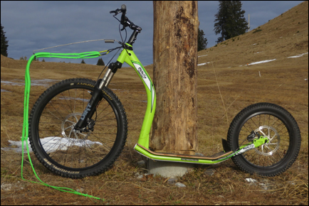 GRAVITY DH Core Mushing edition