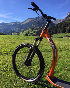 GRAVITY Dosgscooter