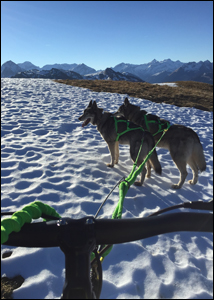 Gravity Scooter auch im schnee sicher unterwegs