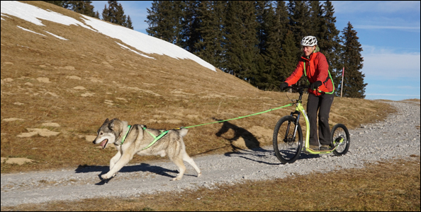 Gravity M10 Trail Scooter mit Smokey