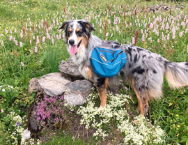 APPROACH Ruffwear