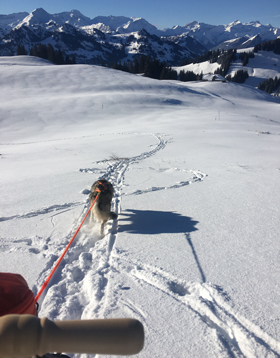 Unterwegs auf Tour mit dem Kicksled