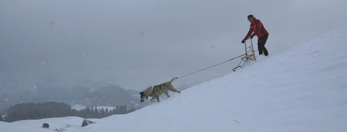 Vielseitig einsetzbar - der Kicksled