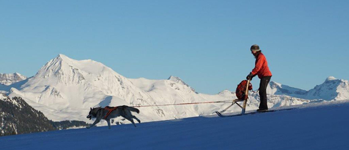 Kicksled - mit einem Hund im Schnee unterwegs