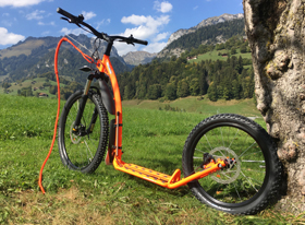 KOSTKA Mushing Pro