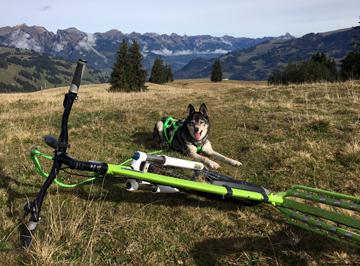 Dogscooter MUSHING MAX