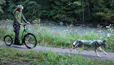 Zughundetraining mit dem KOSTKA Scooter