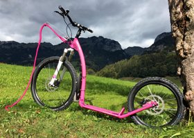 Mushing Max Dogscooter PINK