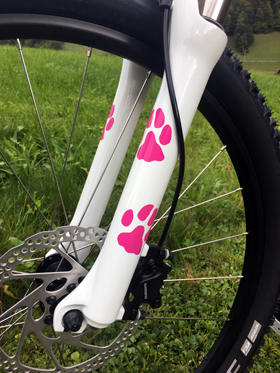 Dogscooter in PINK
