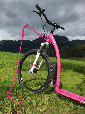 Mushing Max Spezial pink