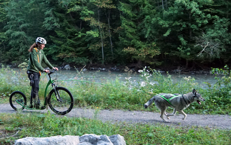 Dogscootering 