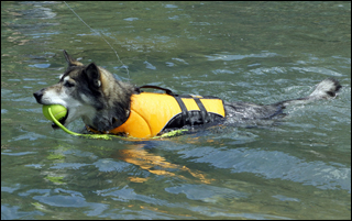 Fly mit RUFFWEAR Schwimmweste