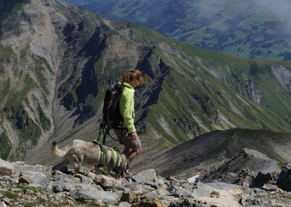 Safety, ideal für Bergtouren mit Hund