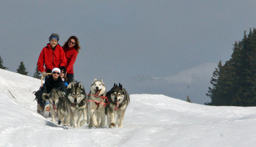 Schlittenhundefahrt mit Passagieren