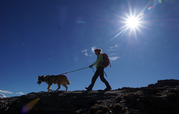 Wandern mit Hund