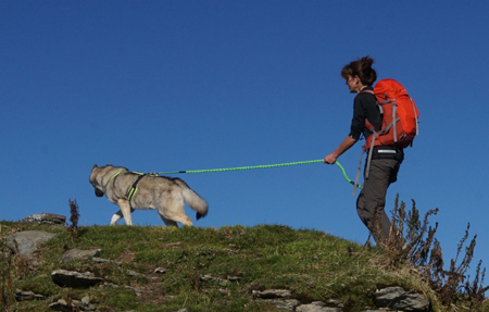 Wandern udn Bergtouren mit Hund